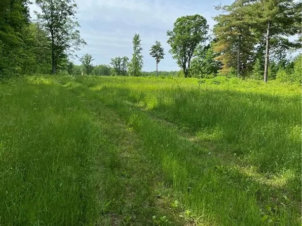 Pinnow Rd, Bruce, WI 54819