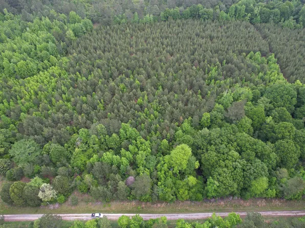 TBD Seward Ave., Lane, SC 29564