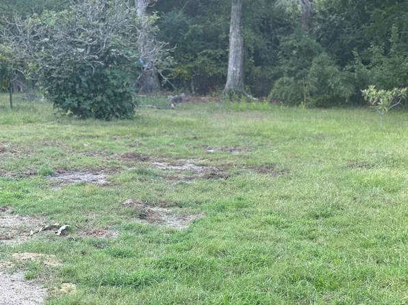 24787 Covington St, Red Level, AL 36474