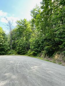Redtail Rd, Sevierville, TN, 37862