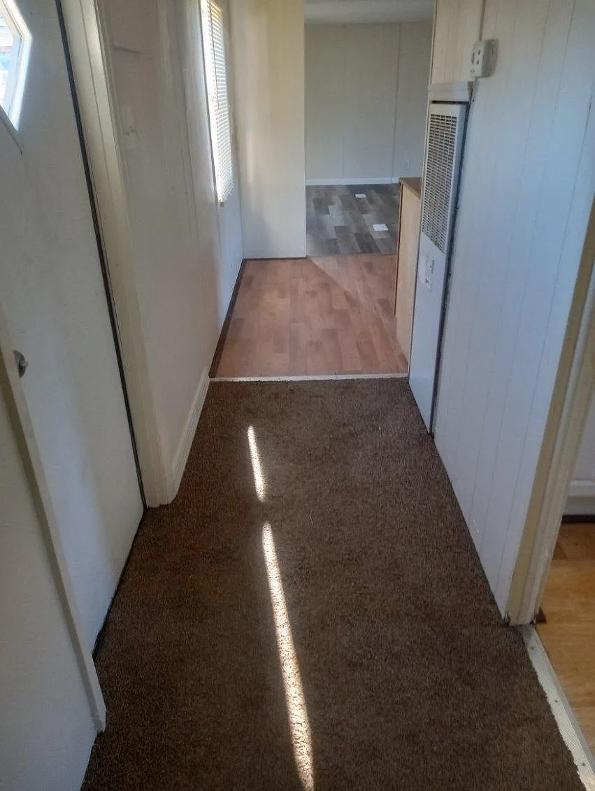 2 bed, $800 — Photo 3