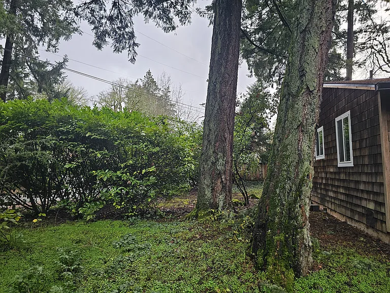 4160 Haven St — Photo 63