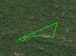 36 Nicklaus Dr, Basye, VA 22810