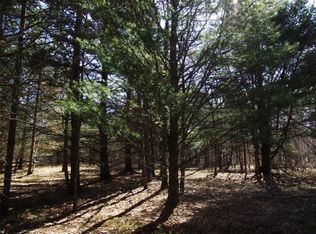 Johnson Rd, Kaleva, MI 49645