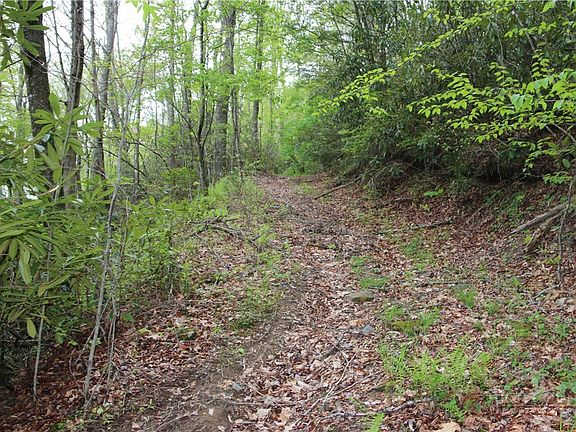2nd image of TBD Flatwoods School Road