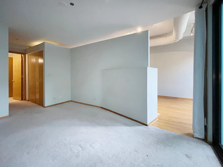 910 S Michigan Ave #1009 — Photo 10
