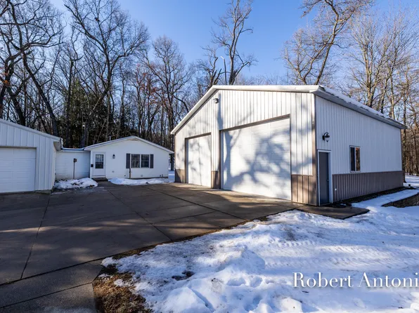 1185 Cramton Ave NE, Ada, MI 49301