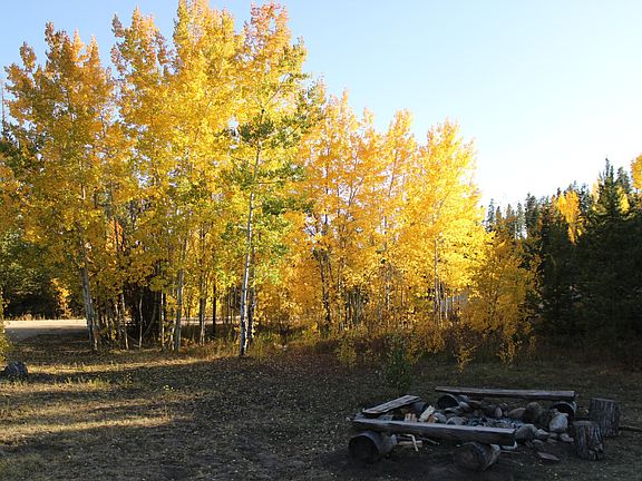 The yard where you will spend all of your time!