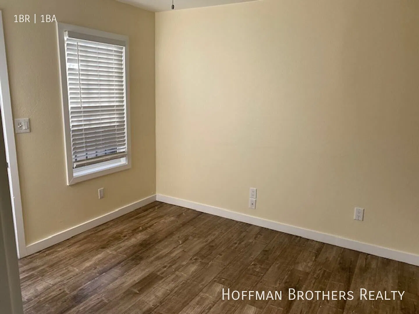 Section 8 Welcome! Bright 1br With Appliances, Water + Trash Included & No App Fee! — Photo 1