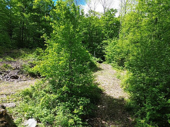 3rd image of 197 Sugar Ledge Road #4