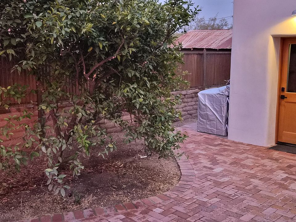 Valencia orange tree