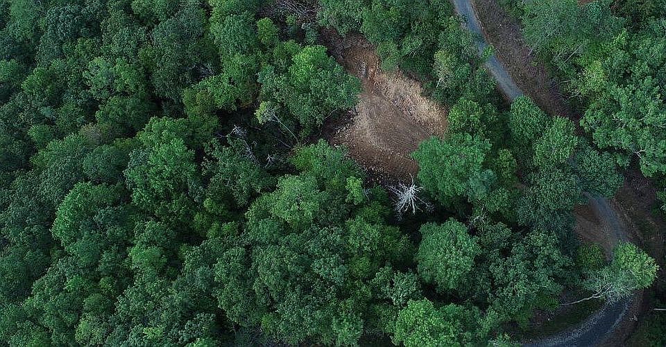 1st image of LOT 3 Cardinal Bluff Dr