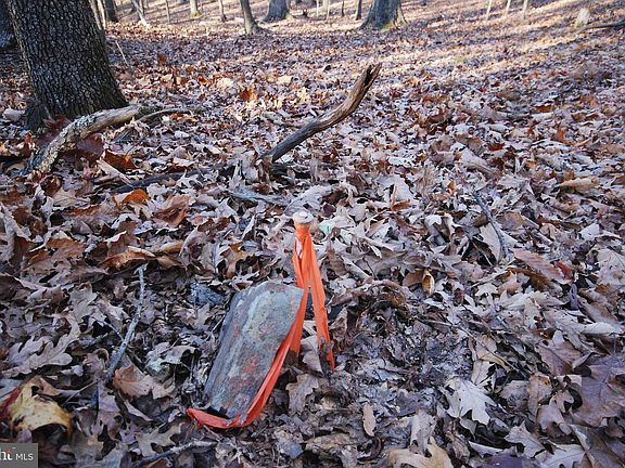 5th image of 67 Mill Mountain Rd