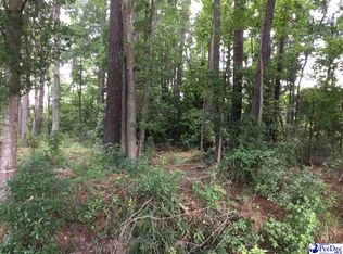 25 Pasley St, Hemingway, SC 29554