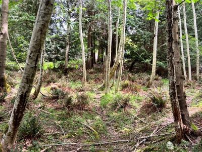 2525 Crestridge Drive NW, Olympia, WA, 98502