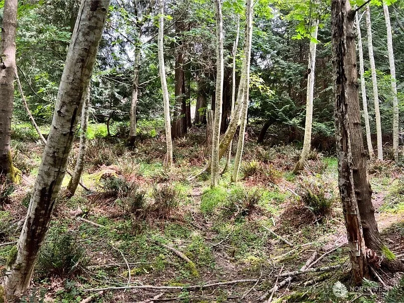 2525 Crestridge Drive NW photo 1