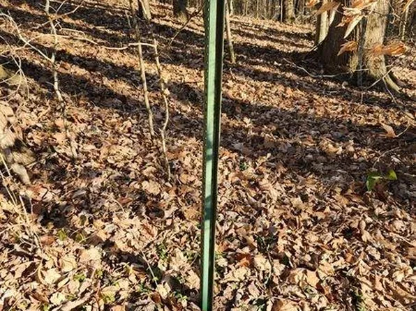 0 E Highway 53 W, Celina, TN 38551