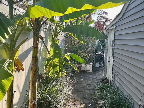 Your tropical oasis awaits 