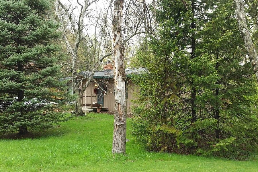 2nd image of 1212 Arbor St