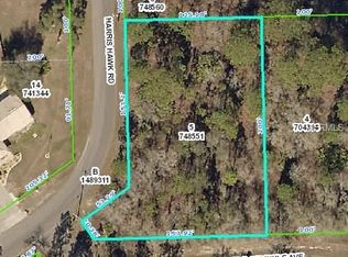 12259 Purple Galinule Ave, Weeki Wachee, FL 34614