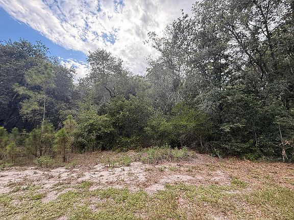 3rd image of 1012 Wildflower Street