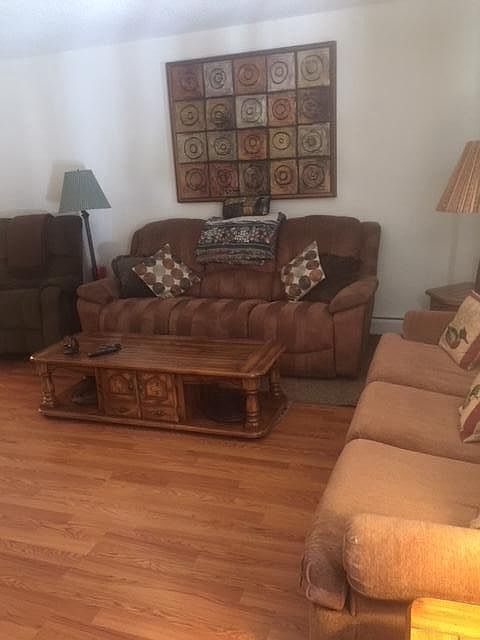 Two couch Living room