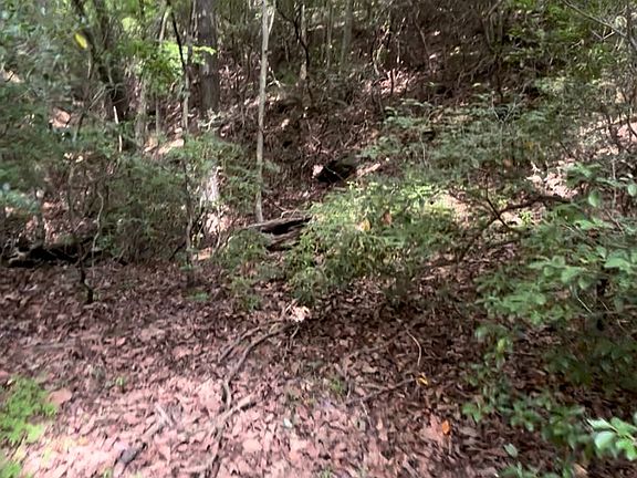4th image of 1127 Quail Cove Dr