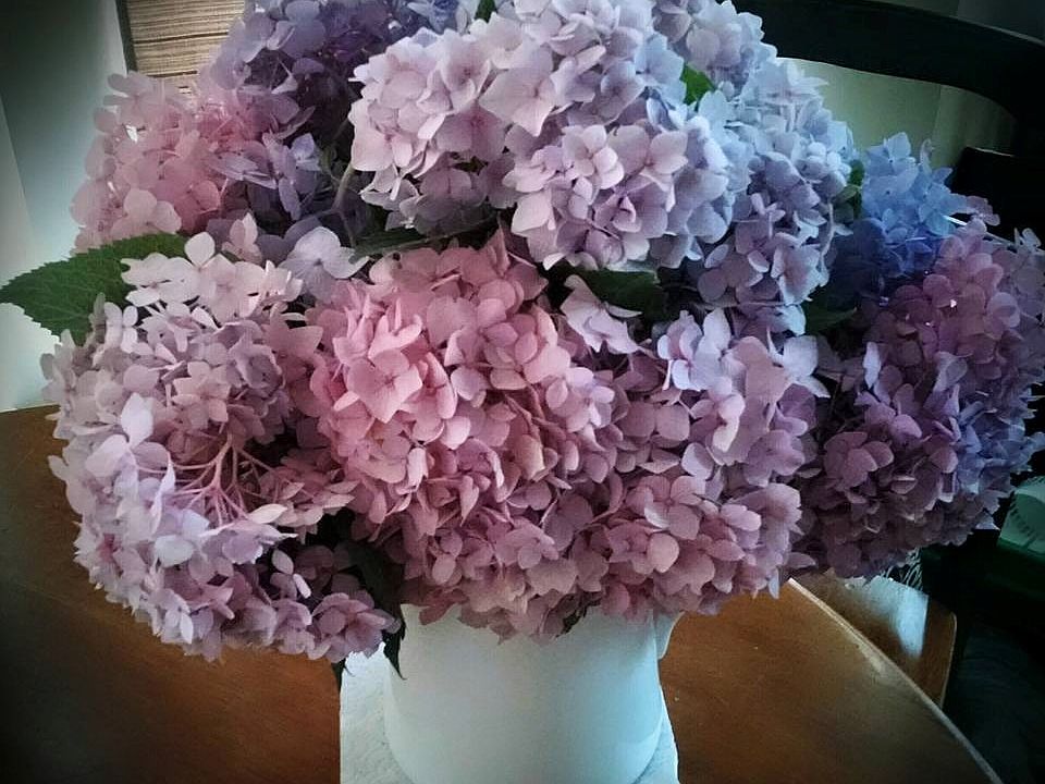 flowers from the garden