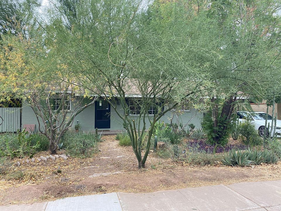 Front yard.