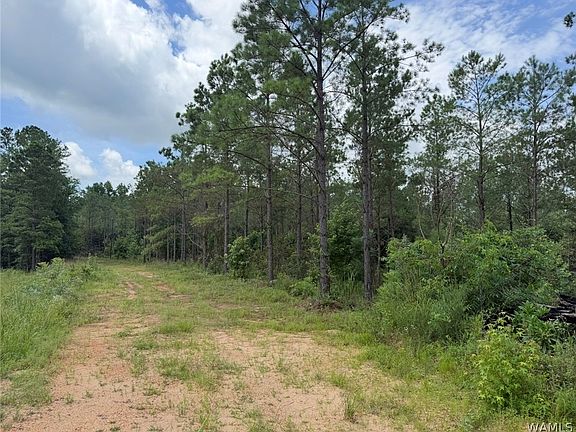 3rd image of 0 County Road 100