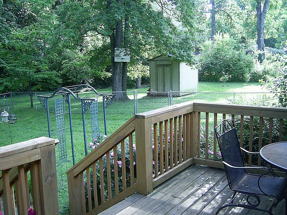 Backyard from deck