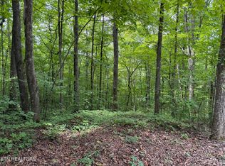 36 Bass Haven Dr, Sharps Chapel, TN 37866