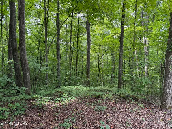 36 Bass Haven Dr, Sharps Chapel, TN 37866