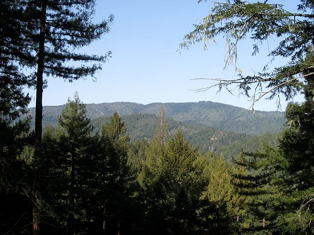 1st image of 1400 Pinecrest Dr