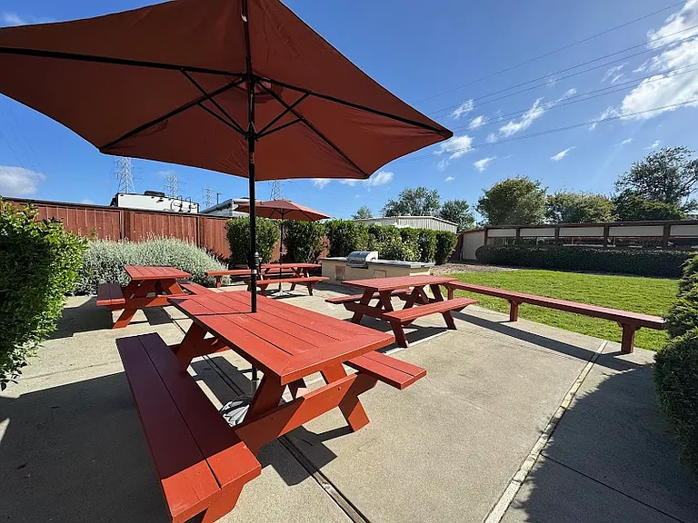 BBQ Area