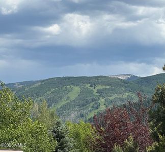 482 Charolais Cir, Edwards, CO, 81632