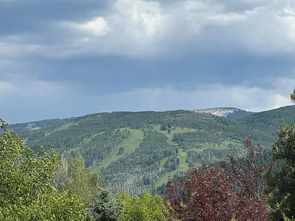 482 Charolais Cir, Edwards, CO 81632