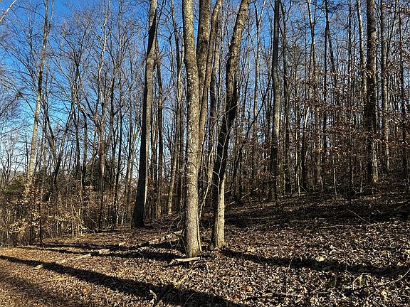 3rd image of 2725 Seven Springs Rd