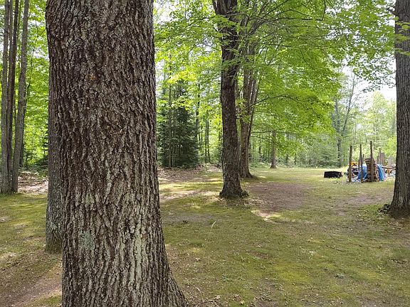 5th image of 20850 County Road 459