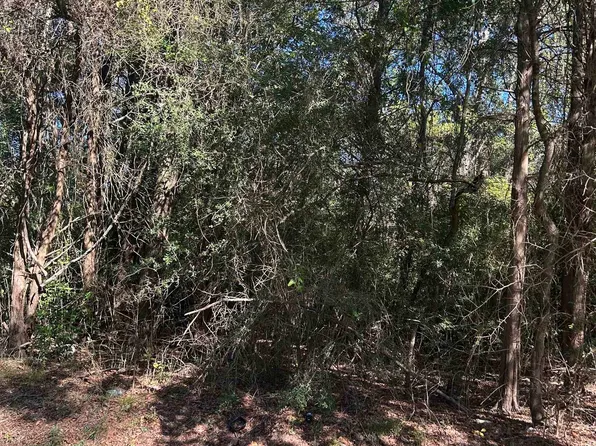 Sanders St, Carthage, TX 75633