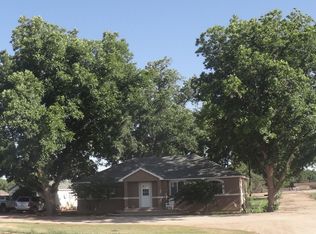 207 E Peach Ln, Carlsbad, NM 88220