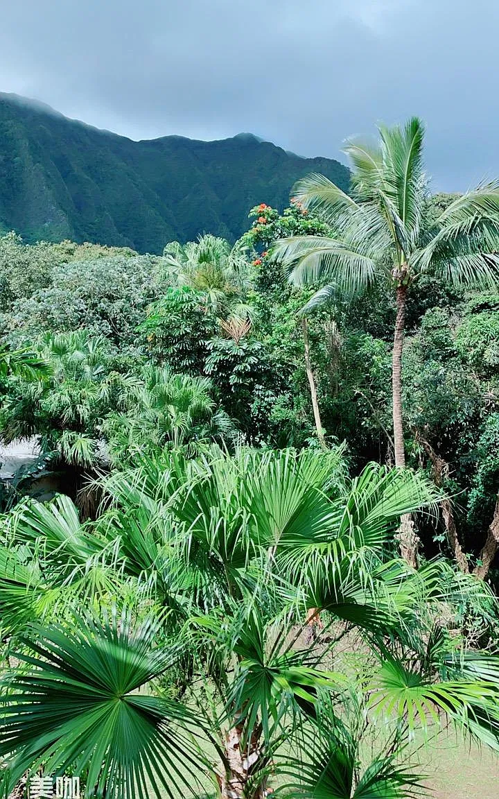 Halemanu St, Kaneohe — Photo 4