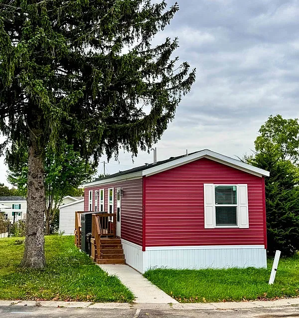Shadylane — Photo 4