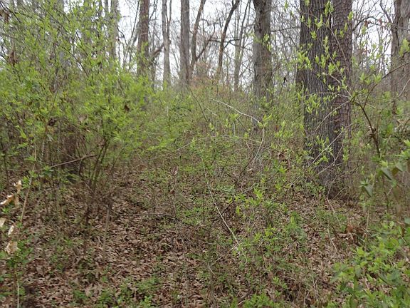 2nd image of Wilson Dr