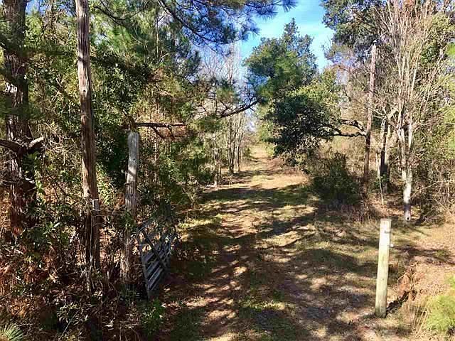 2nd image of 3165 County Road 208 Lot F
