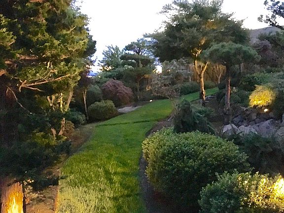 Lush Landscape