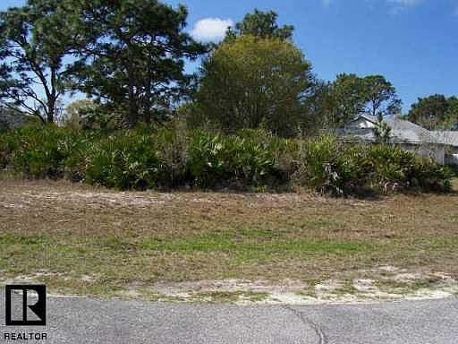 3rd image of 139 Swan Dr