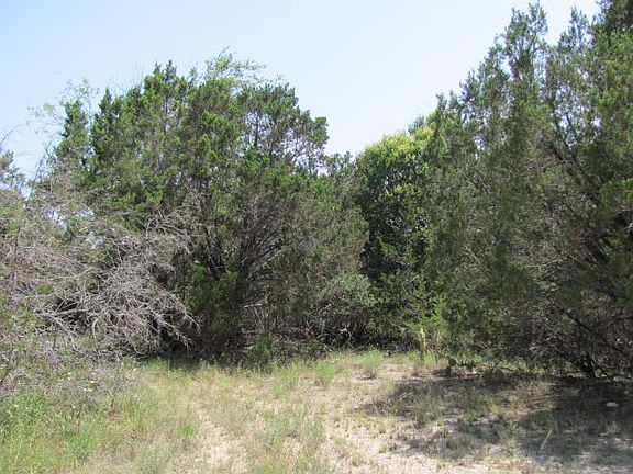 4th image of 305 Canyon Springs Dr
