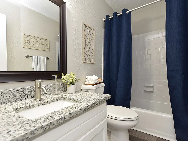 Bathroom + Granite Counters