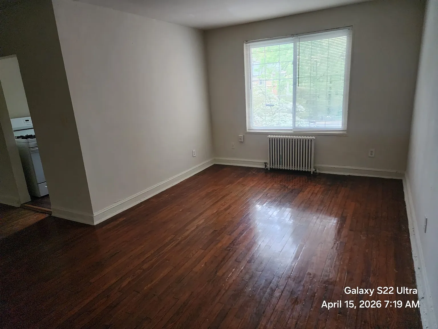 1 bed, 650 sqft, $1,325 — Photo 3